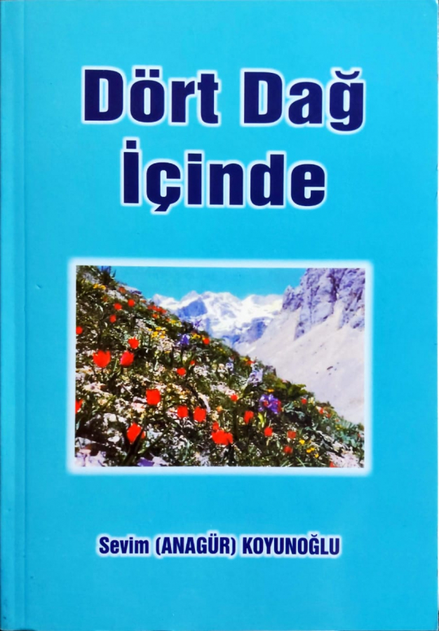 Dört Dağ İçinde